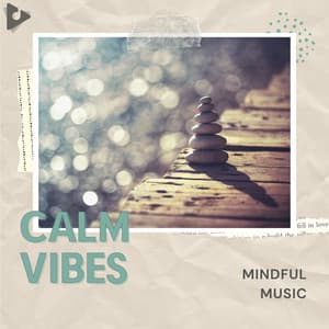 Mindful Music - Calm Vibes