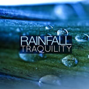 Rainfall: Tranquility - Relaxing Sounds of Rain Music Club
