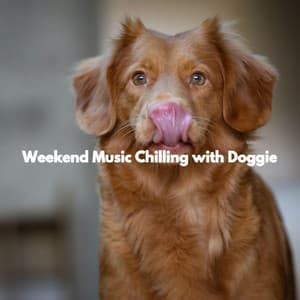 Weekend Music Chilling with Doggie - Lazy Sunday Jazz