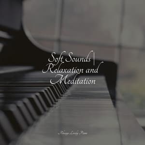 Calm & Soothing Piano Music for Relaxation - Easy Listening Piano