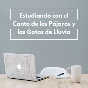 Estudiando Con El Canto De Los Pájaros Y Las Gotas De Lluvia - Terapia de lluvia