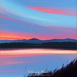 Relaxing Music to Unwind, for Bedtime, Wellness, to Rest 2 - Baby Sleep Music