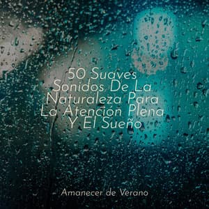 50 Suaves Sonidos De La Naturaleza Para La Atención Plena Y El Sueño - Rising Higher Meditation