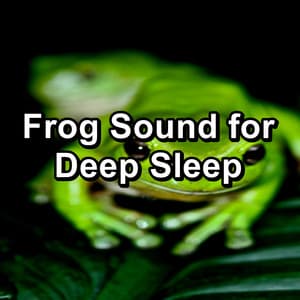 Frog Sound for Deep Sleep - Nature Sounds Artists