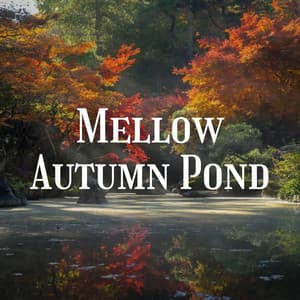 Mellow Autumn Pond - Water Ambience