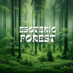 Esoteric Forest: Mystic Nature Sounds for Meditation and Hypnosis - Hypnosis Nature Sounds Universe