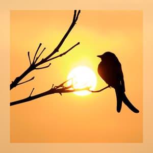 Ambient Dreamscapes - Birds - Dream Supplier