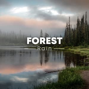 Forest Rain - Sounds for Life