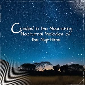Cradled in the Nourishing Nocturnal Melodies of the Nighttime - Sleep Music Playlist