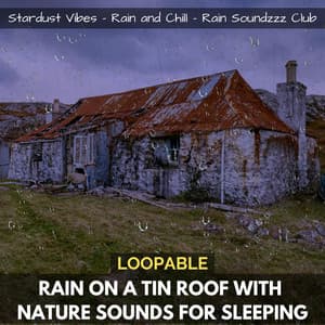Rain on a Tin Roof with Nature Sounds for Sleep - Stardust Vibes