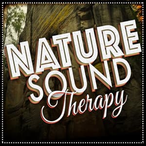 Nature Sound Therapy - Nature Sounds Nature Music