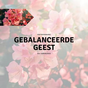 Gebalanceerde Geest - Ontspanning en Harmonie