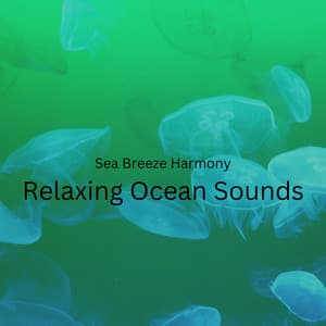 Sea Breeze Harmony: Relaxing Ocean Sounds - Sandman’s Music Box