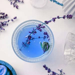 Opulent Piano Bossa Duo - Background for Lonely Night - Dog Sleeping Soundtracks Deluxe