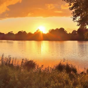 Relaxation Melodies for a Quiet Mind - Late November