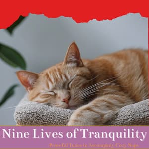 Nine Lives of Tranquility: Calming Notes for Our Feline Friends - Cat & Calm