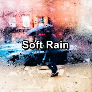 Soft Rain - Thunder Storms