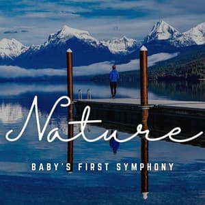 Baby's First Symphony: Soundtracks for Infants - Pregnancy and Birthing Specialists