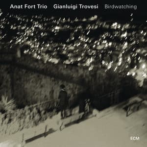 Birdwatching - Anat Fort Trio
