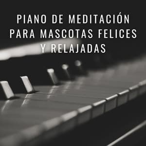 Melodías De Serenidad: Piano De Meditación Para Mascotas Felices Y Relajadas - Piano: relajación clásica