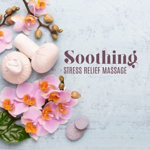 Soothing Stress Relief Massage - Wellness Portal