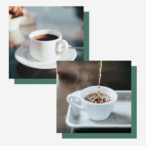 Music for Boutique Coffee Roasters - Paradise Like Trumpet, Electric Piano, Alto Sax and Soprano Sax - Jazz Ambiance