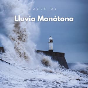 Bucle De Lluvia Monótona - Colmena de Lluvia