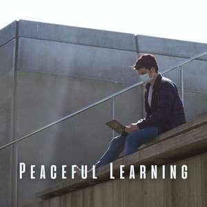 Peaceful Learning: Meditative Piano for Serene Study Vibes - Piano Music for Exam Study