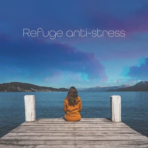 Refuge anti-stress : Sanctuaire de déstressage - Zone de la Musique Relaxante