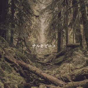 チルとピース - French Jazz Trio