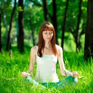 Blissful Chirps: Birds' Melodies for Peaceful Meditation - Swedish Forest Birds