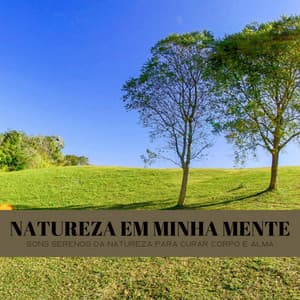 Natureza Em Minha Mente: Sons Serenos Da Natureza Para Curar Corpo E Alma - Dormir e Meditar