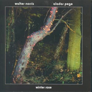 Winter Rose - Aladar Pege