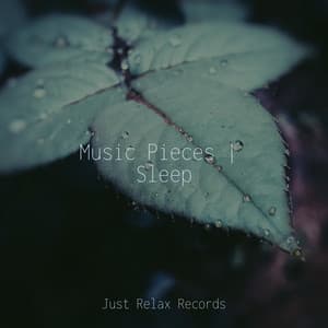 Music Pieces | Sleep - Musica para Meditar