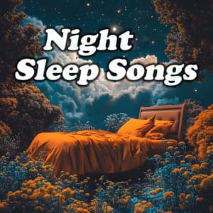 Night Sleep Songs - Sleep Songs