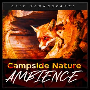 Campside Nature Ambience - Epic Soundscapes