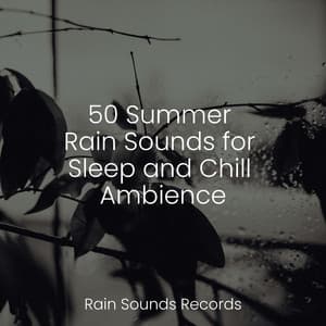 50 Summer Rain Sounds for Sleep and Chill Ambience - Avslappning Sound