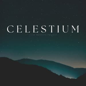 Celestium - Relax Bro