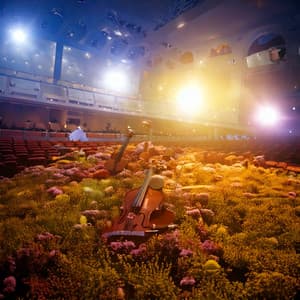 Calm Orchestra: Peaceful Sound Waves - Jason Humphries