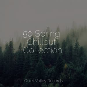 50 Spring Chillout Collection - Deep Sleep FX