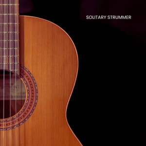 Solitary Strummer - Jazz Guitar Guys