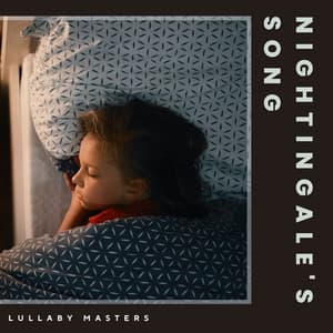 Nightingale's Song: Acoustic Lullabies - Lullaby Masters