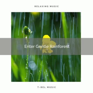! ! ! ! ! ! ! ! ! ! Enter Gentle Rainforest - Heavy Rain Sounds