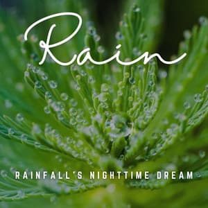Dreamy Rain Sounds: Slumber under Nature's Umbrella - 4D Nature Recordings