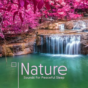 Nature Sounds for Peaceful Sleep - Deep Sleep Universe