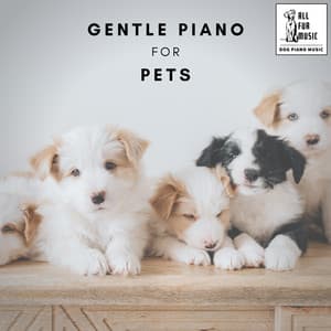 Gentle Piano for Pets - Jingle Cats
