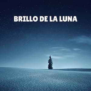 Brillo de la Luna - Dormir