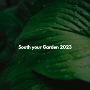 Sooth your Garden 2023 - Afternoon Jazz Playlist