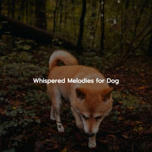 Whispered Melodies for Dog - Suave Jazz Soundtracks