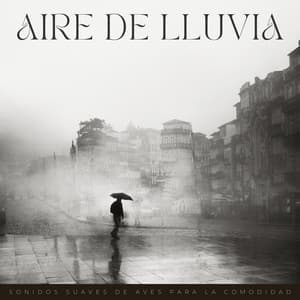 Aire De Lluvia: Sonidos Suaves De Aves Para La Comodidad - Suave al aire libre